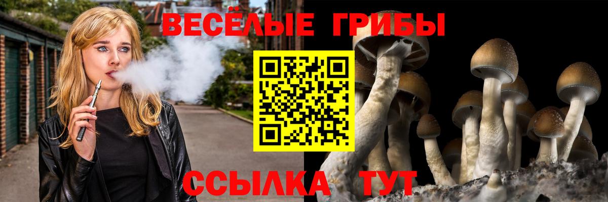 Шуя  Галлюциногенные грибы MAGIC MUSHROOMS  Вход с VPN 